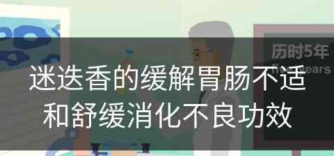 迷迭香的缓解胃肠不适和舒缓消化不良功效